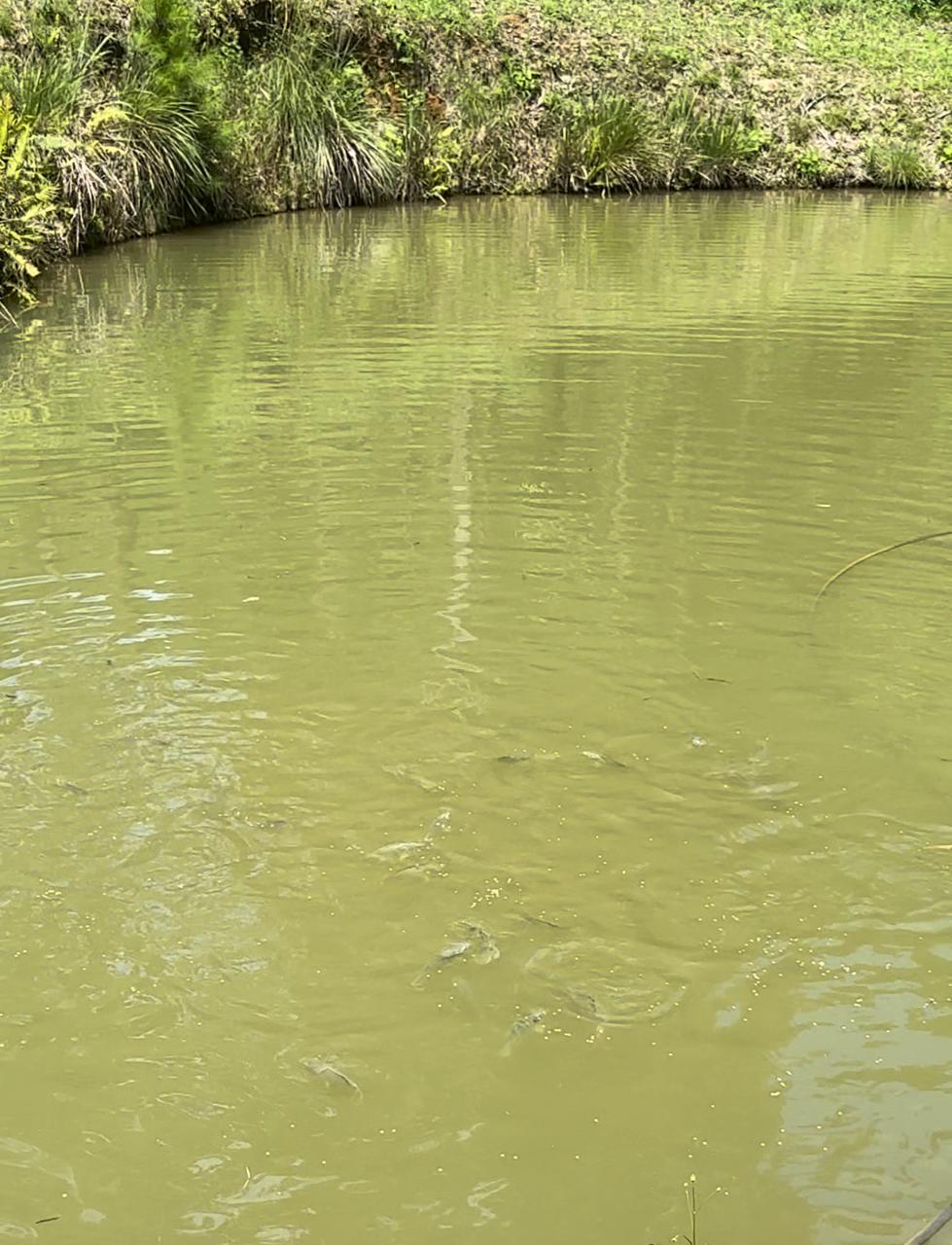 Clínica Refúgio do Lago 11
